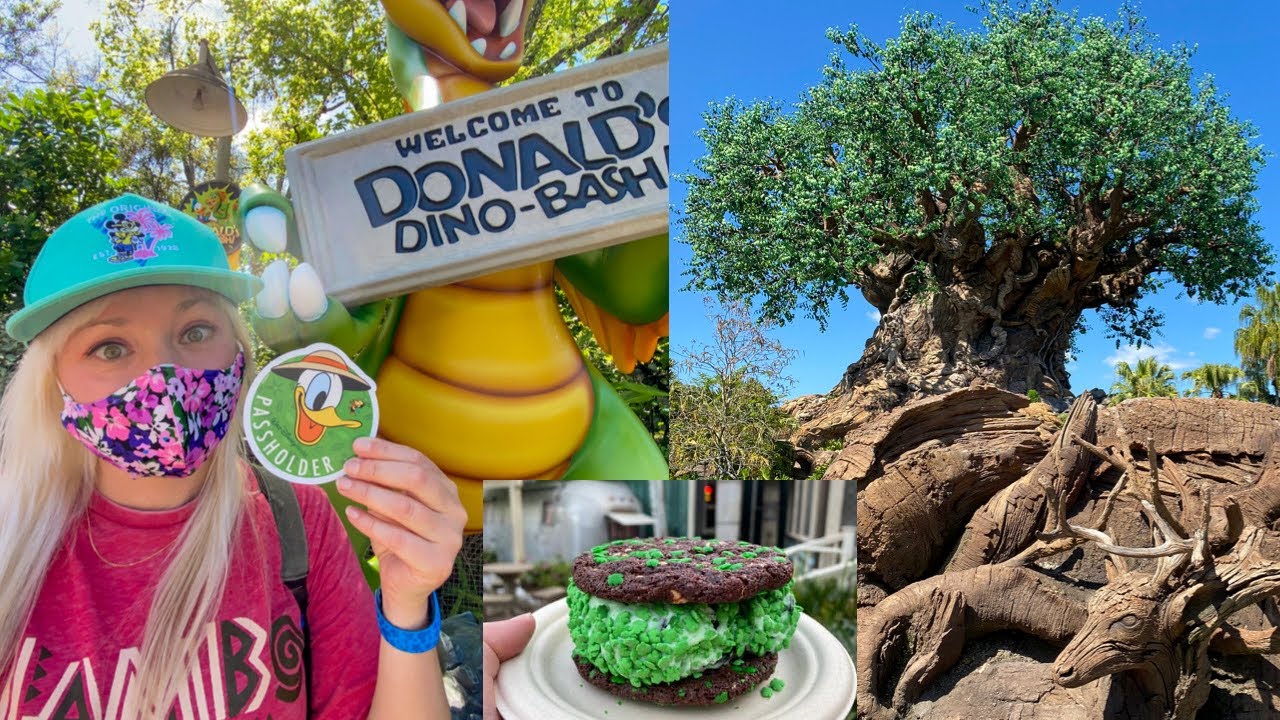 Disney's Animal Kingdom FUN! Spring Break 2021 / NEW Treats, Safari Ride, Lunch at Yak & Yeti