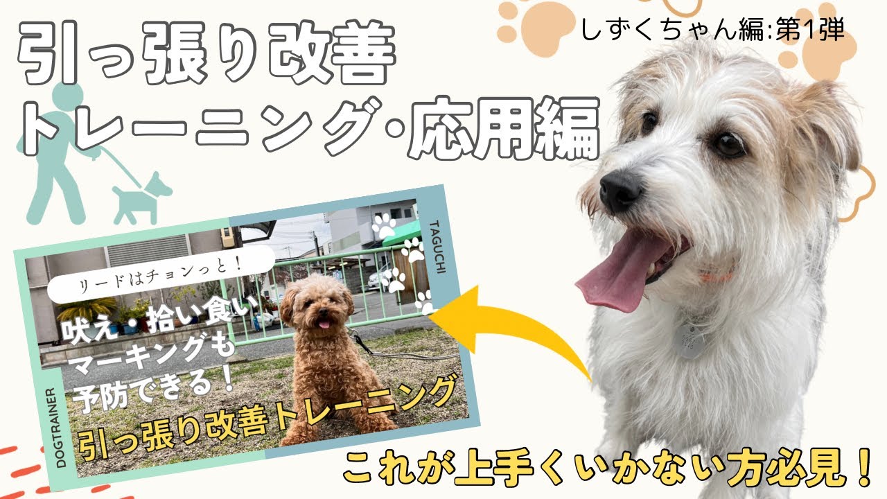 【引っ張り】引っ張り改善トレーニング・応用編