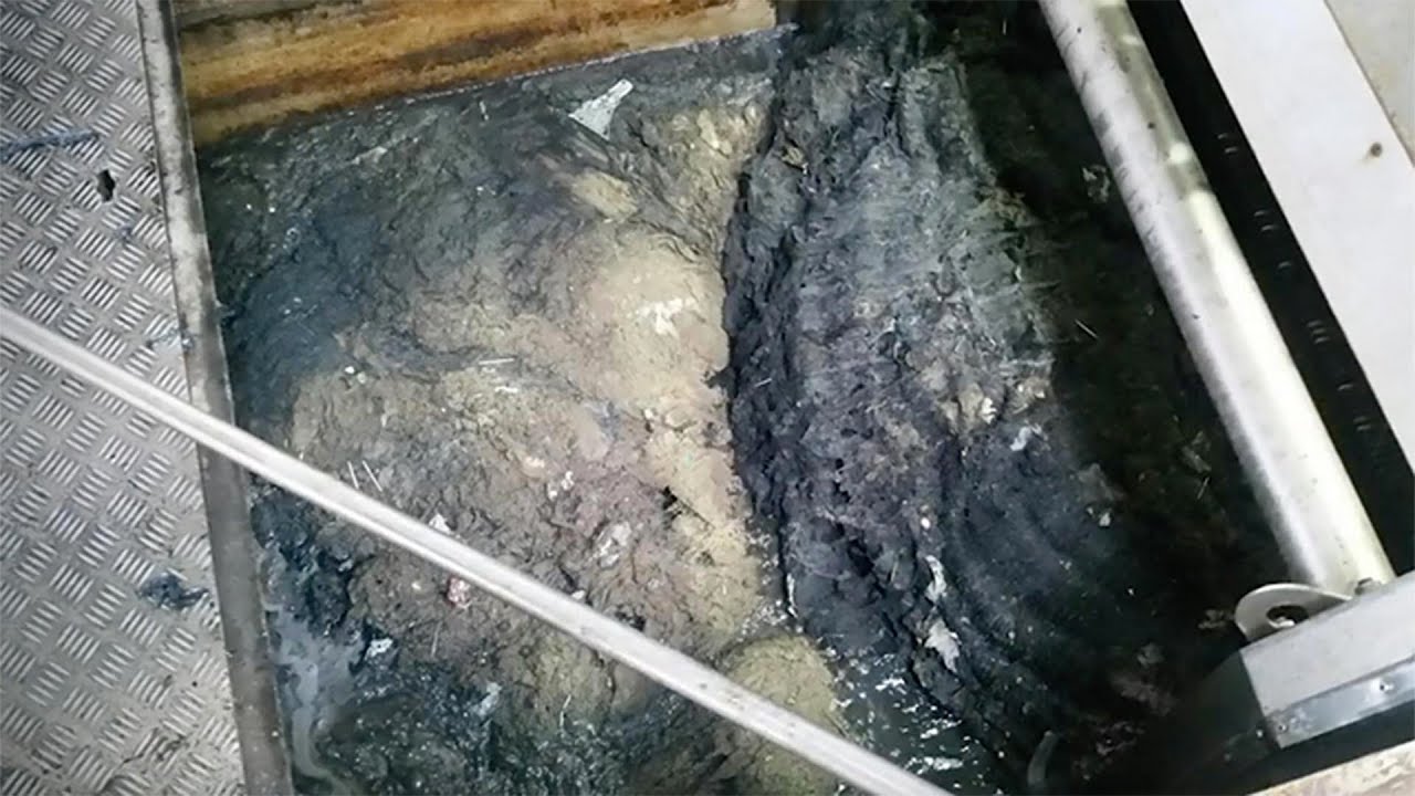 Fatbergs  - the oily mess choking Sydney's sewers.