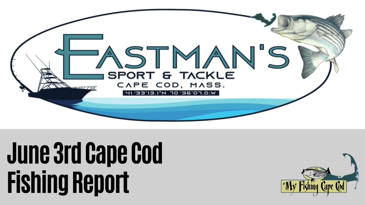 Cape Cod Fishing Report for June 3rd, 2024