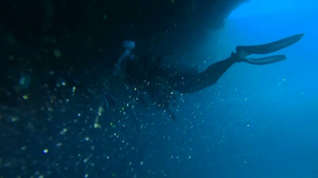 Wreck Dive, Spiegel Grove - Feb 12, 2026 - 130 feet deep