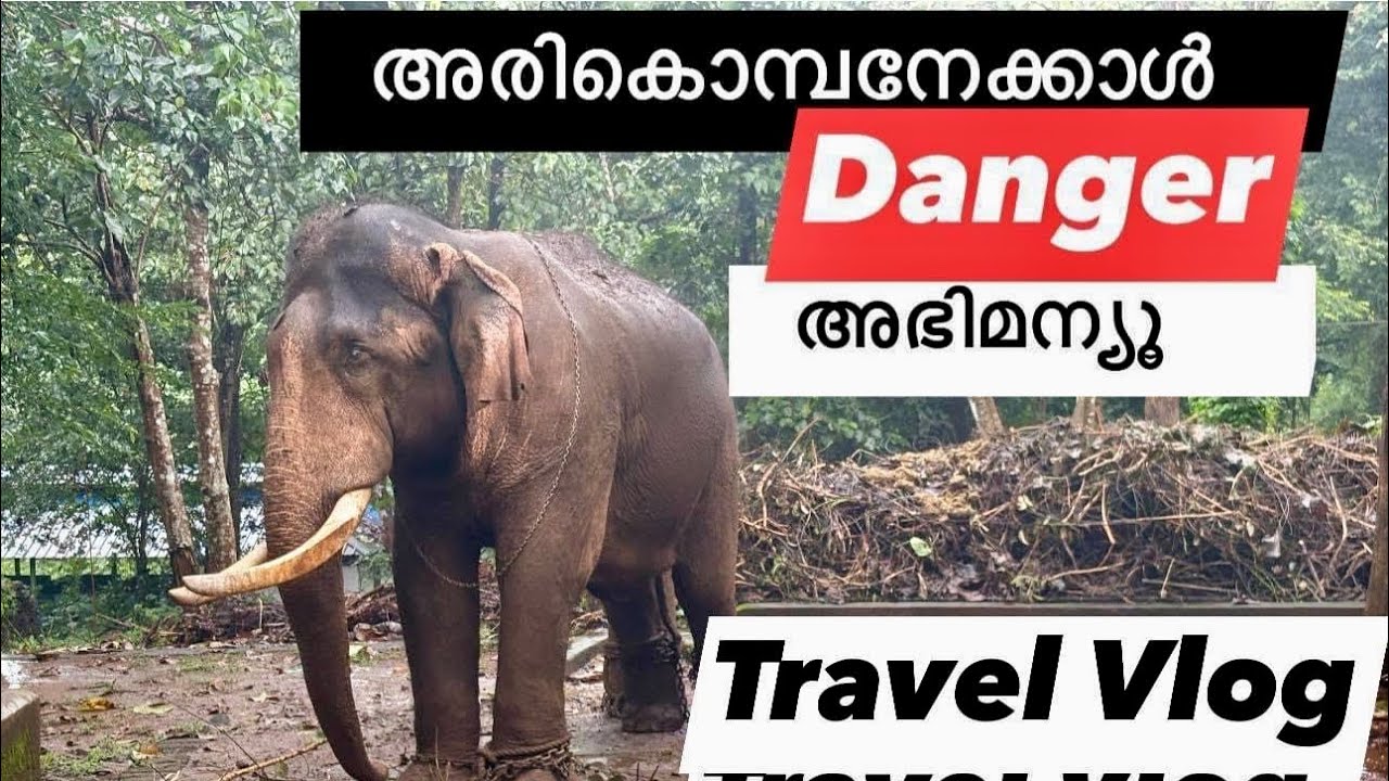 Elephant 🐘 Training Center | Kodanad | Unique Eco Travel Place | Views Of Jo |Travel Vlogger|Video