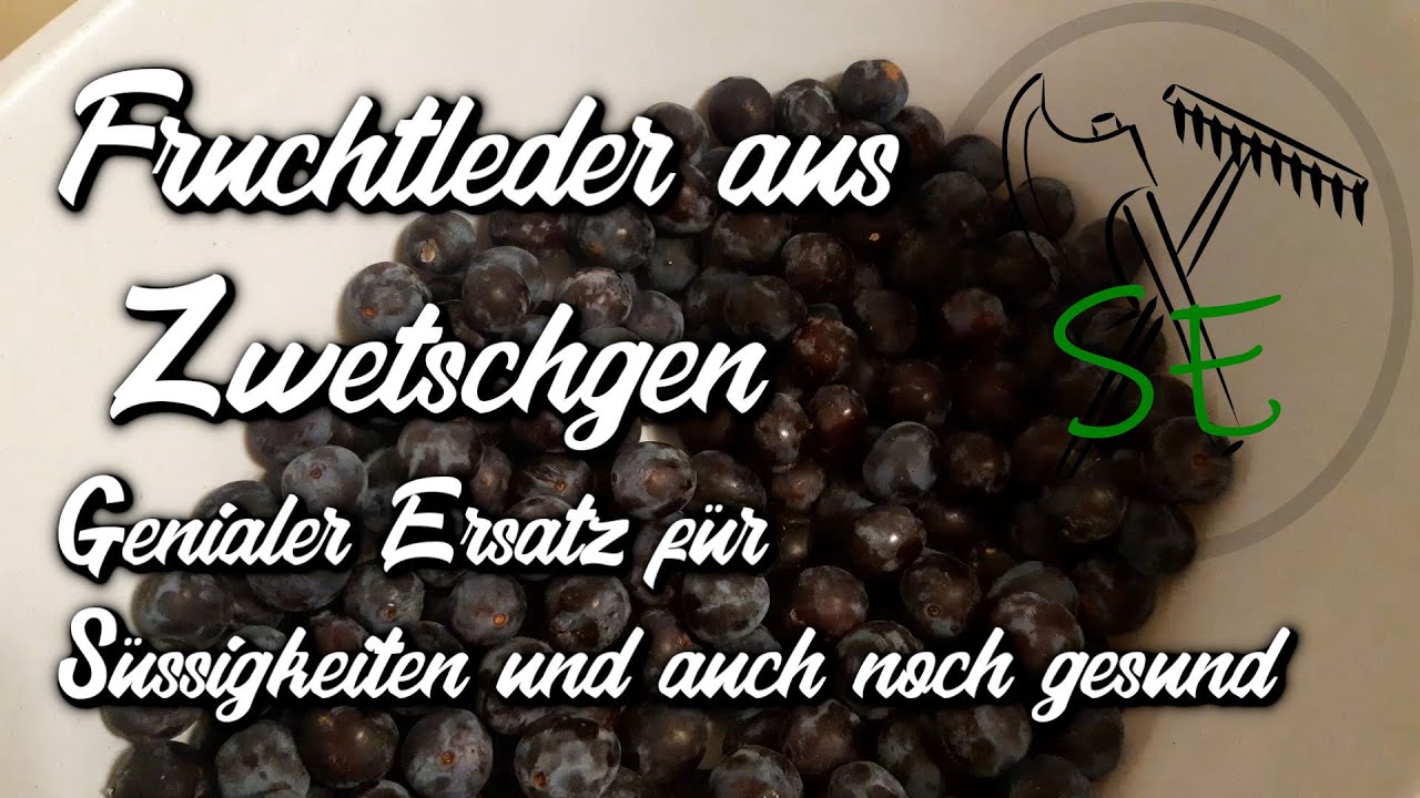 Fruchtleder aus Zwetschgen