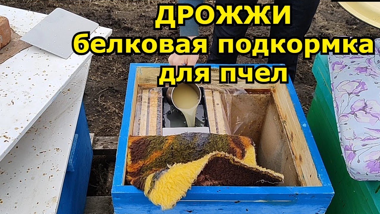 Дрожжевая подкормка пчел весной
