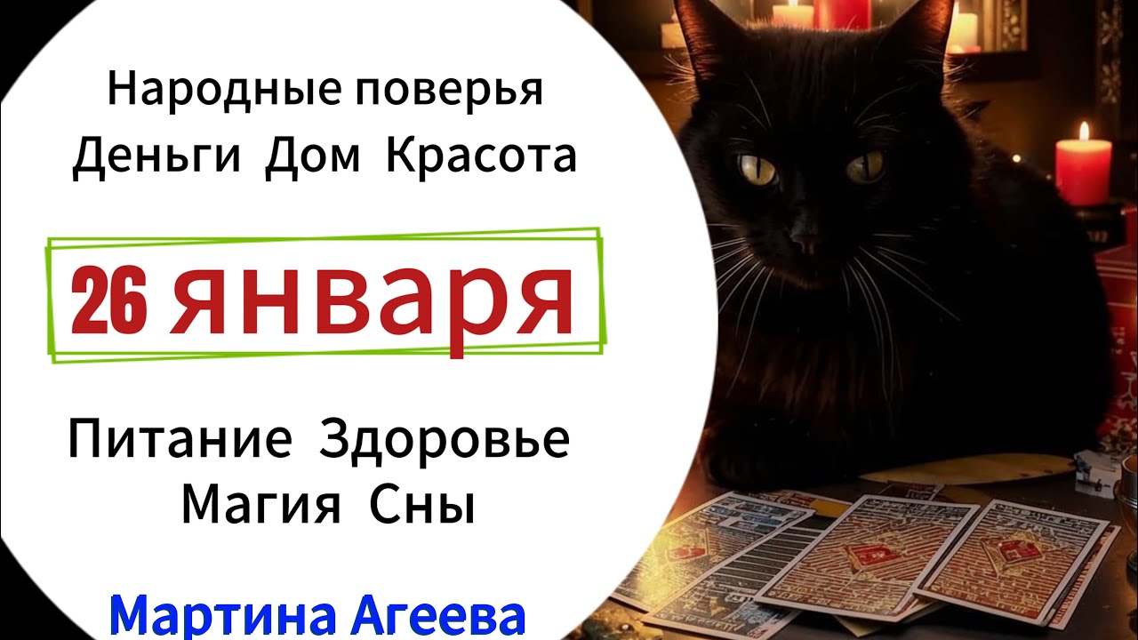 26 января – День магии кошек