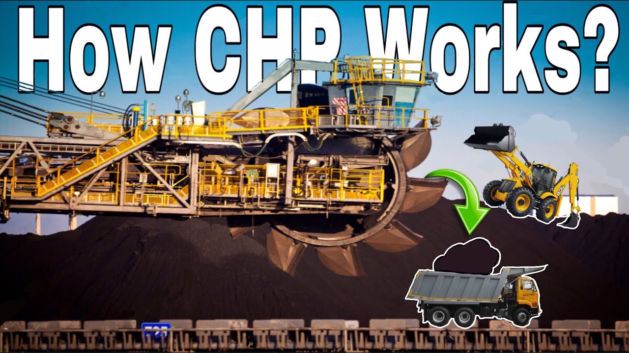 The Hidden Journey of Coal Before It Burns