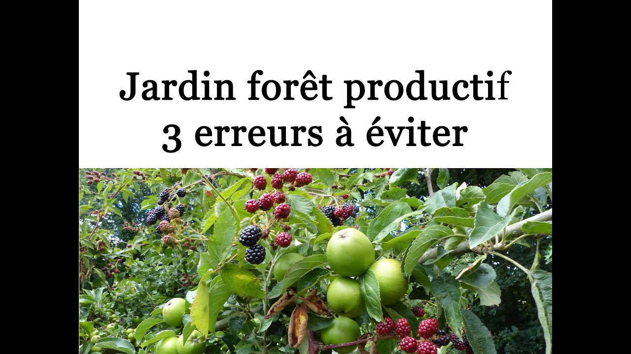 Jardin forêt productif - 3 erreurs à éviter