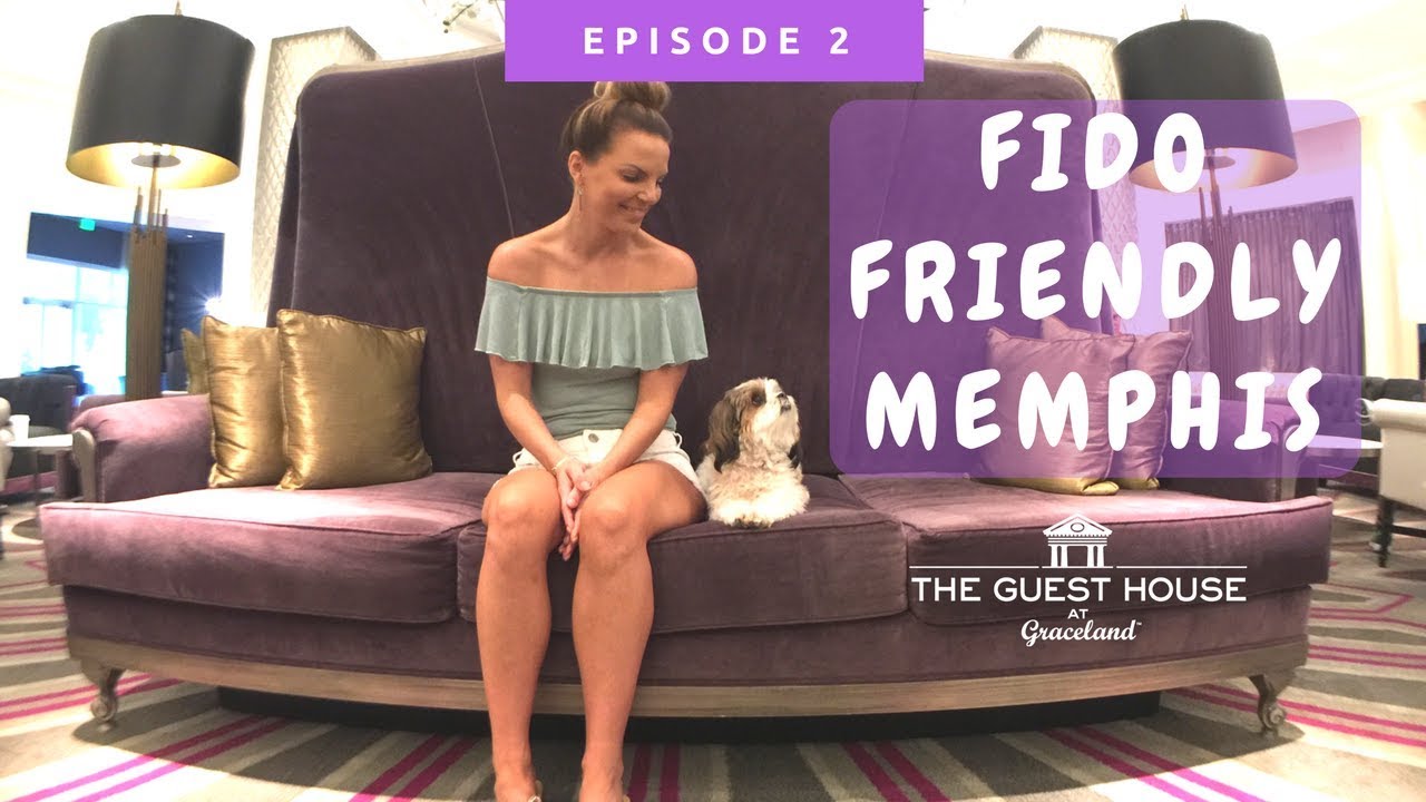 Bella Checks In To The pet-friendly Guest House at Graceland