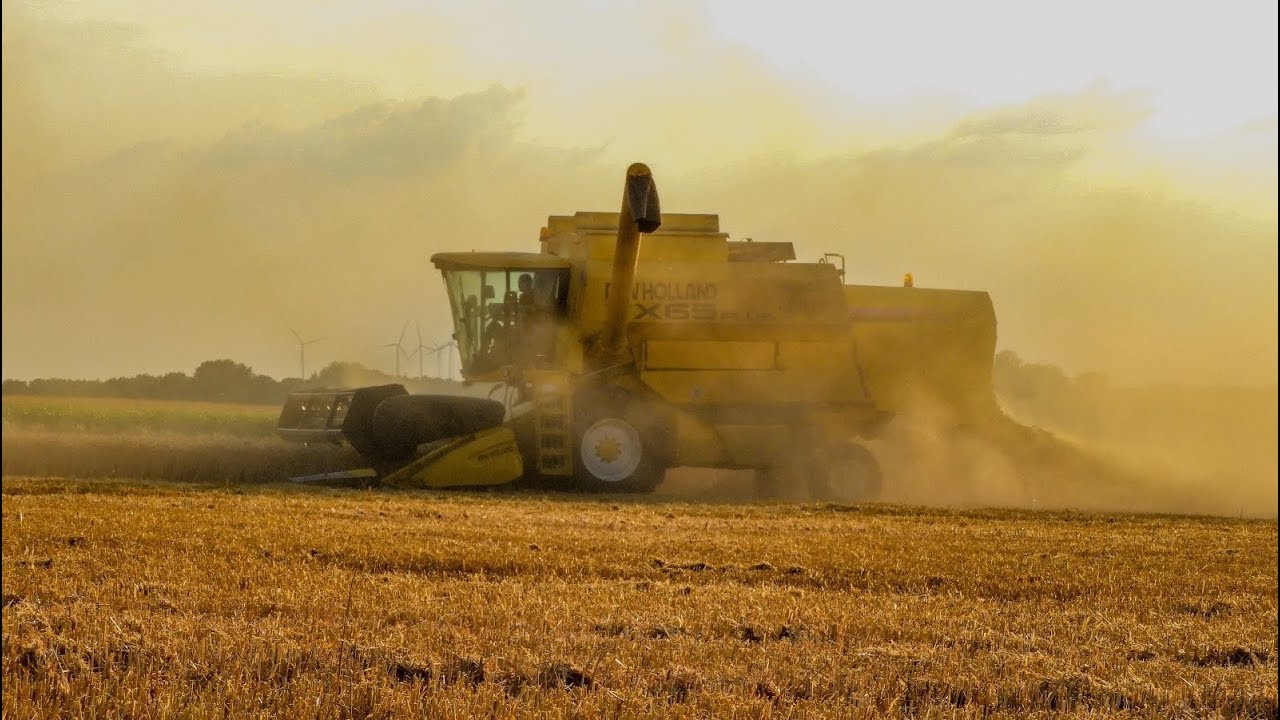 Doppelte New Holland TX Power im Weizen│TX65 plus│TX66│Müschener Landetchnik