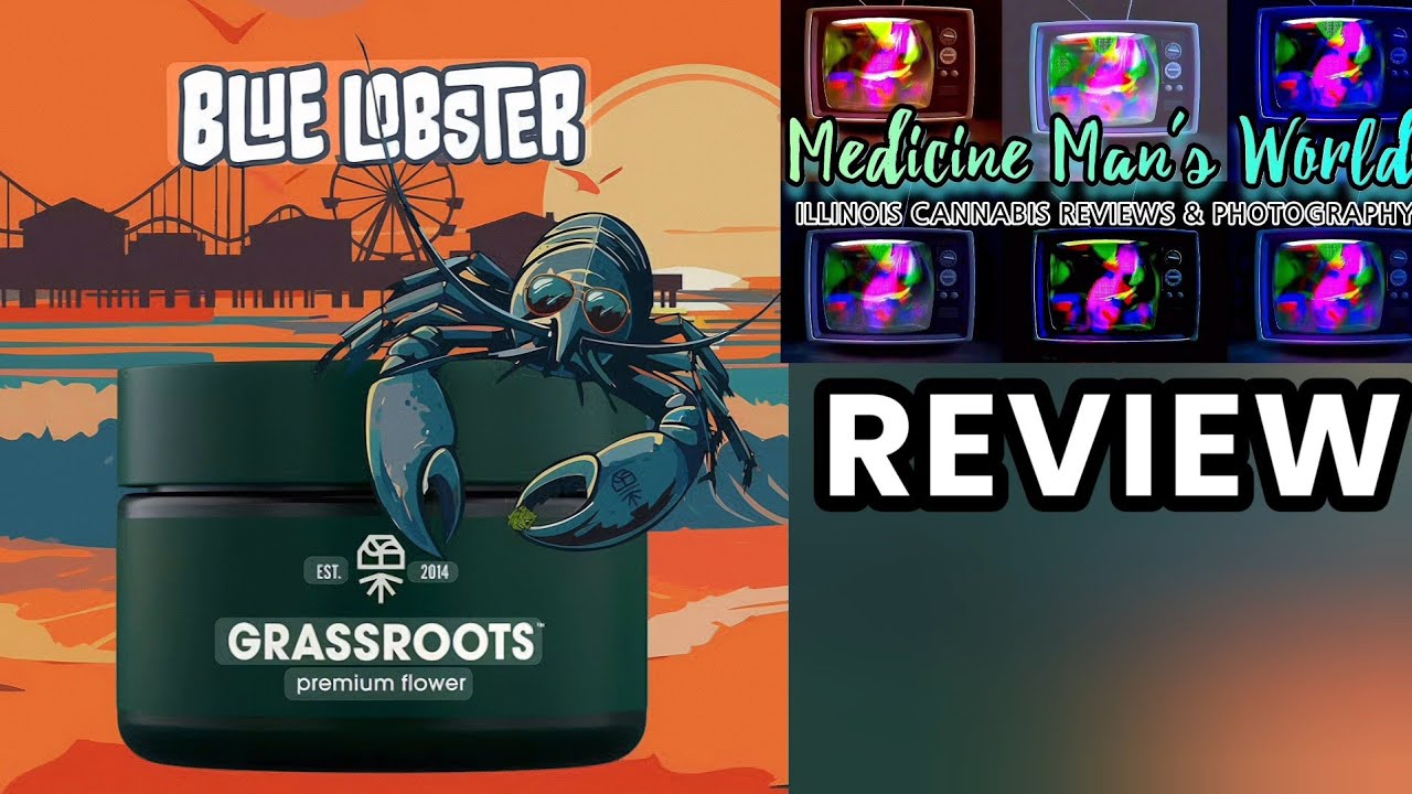 Blue Lobster | Hybrid | Weed Review 