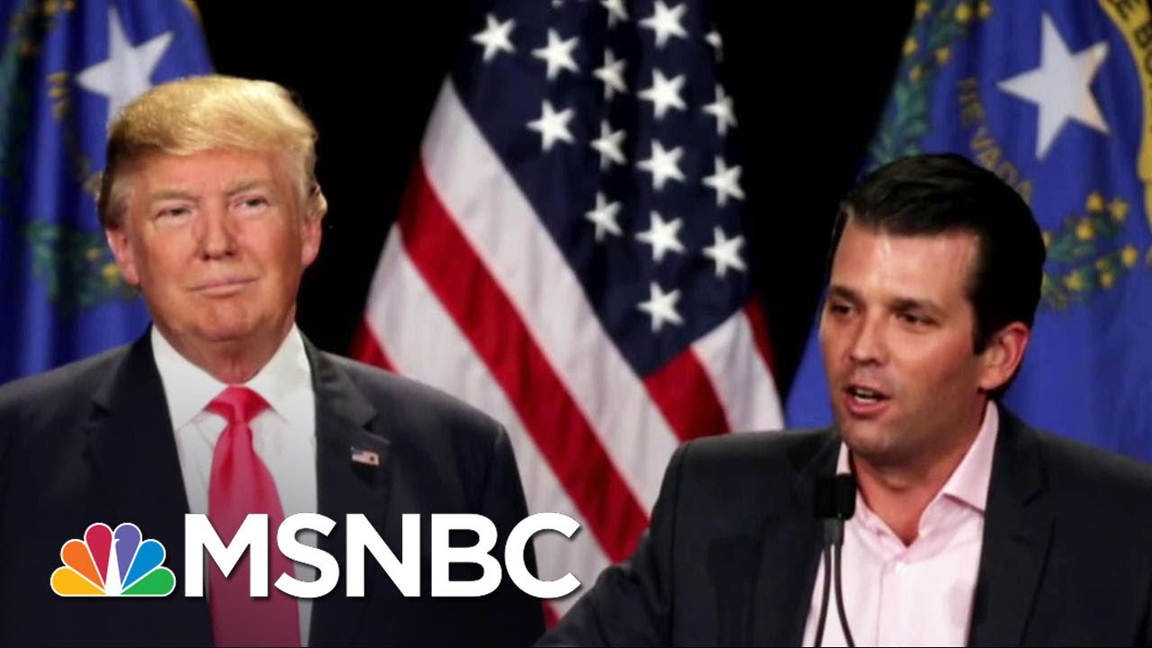 NYT: Email To Trump Jr. Shows Russian Gov't Sought To Help Donald Trump | The Last Word | MSNBC