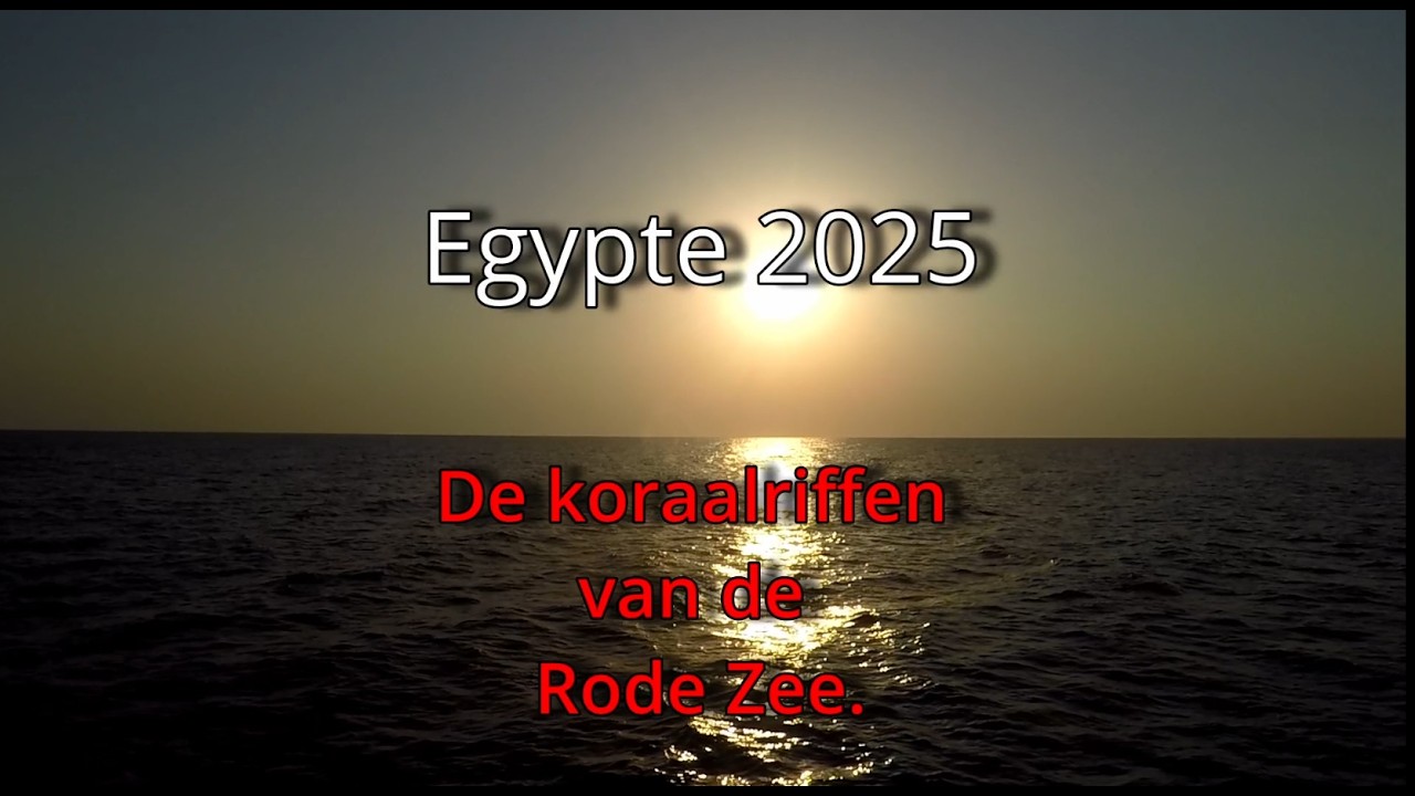 Egypte 2025 - De koraalriffen van de Rode zee