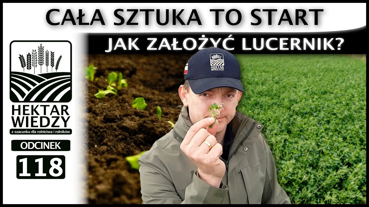 LUCERNA - CAŁA SZTUKA TO START  JAK ZAŁOŻYĆ LUCERNIK? | ODCINEK 118