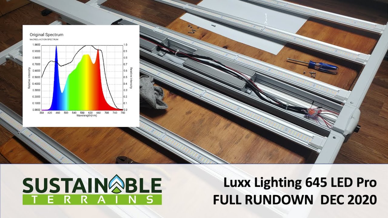 Обзор и разбор Luxx 645 LED Pro