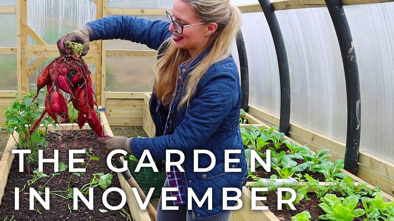 The Garden in November