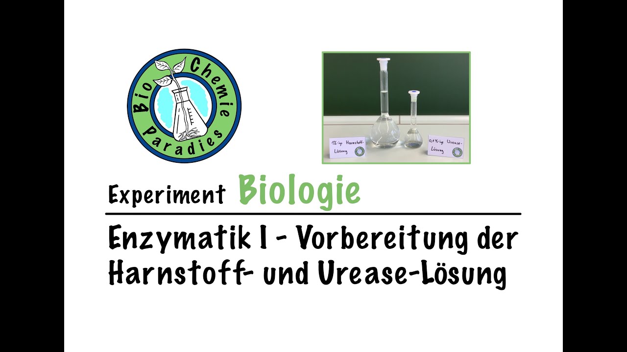 Experiment Biologie &ndash; Enzymatik I &ndash; Vorbereitung der Harnstoff- und Urease-L&ouml;sung