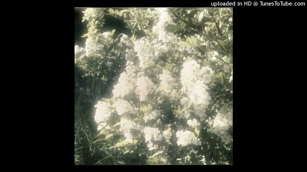 BOTANICA × AMBIENT × EMOTIONAL × ORGANIC TYPE BEAT || prod. Astoxai