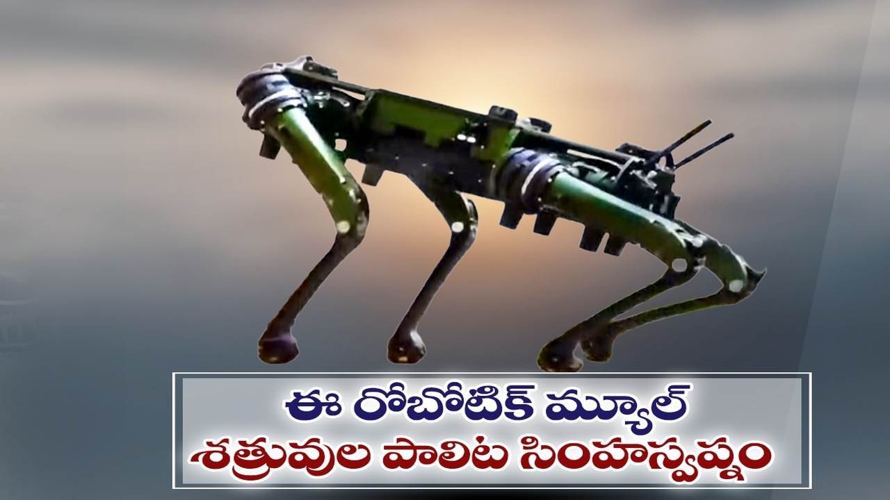 AI ఇంపాక్ట్ సమ్మిట్‌లో రోబోటిక్ మ్యూల్ ప్రదర్శన | Robotic Mule Steals the Show at AI Impact Summit