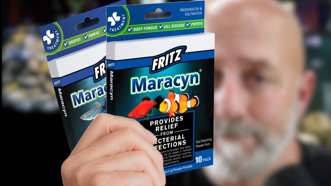 Вы пожалеете, что у вас их нет, если они вам понадобятся