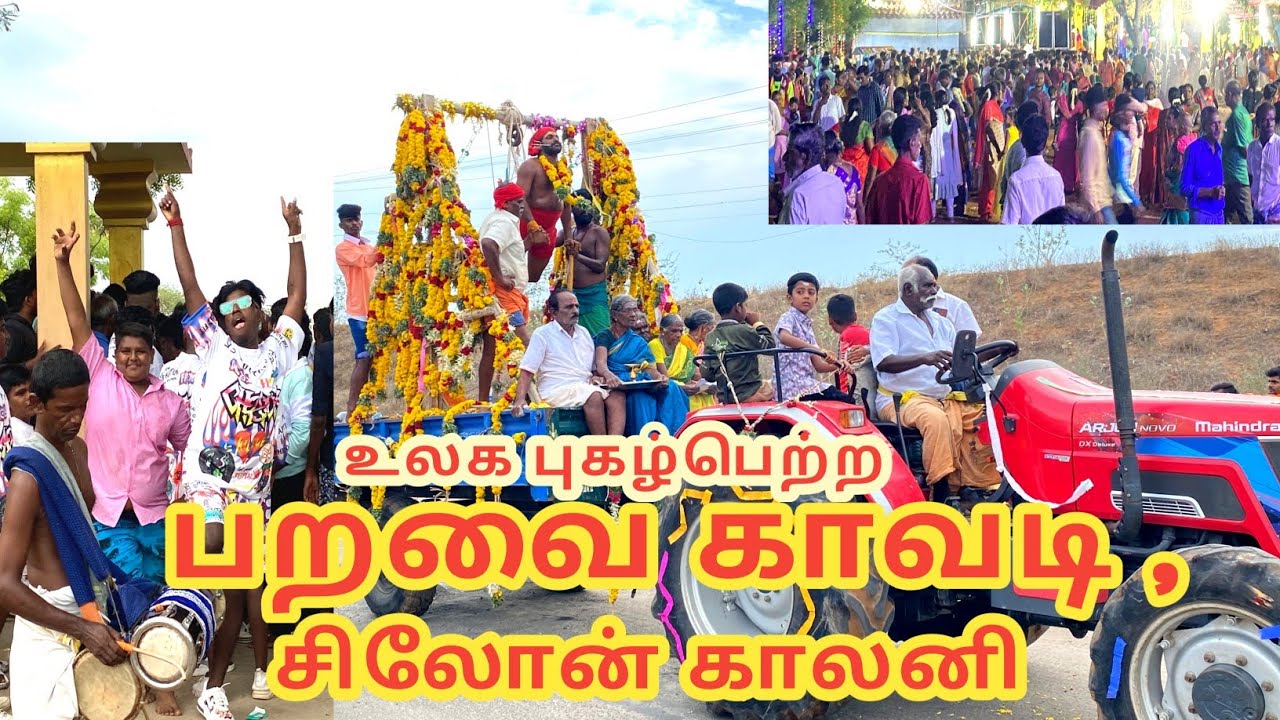 பறவை காவடி| சிலோன் காலனி| #paravaikavadiceyloncolony#ceyloncolonytemplefestival#colonytemplefestival