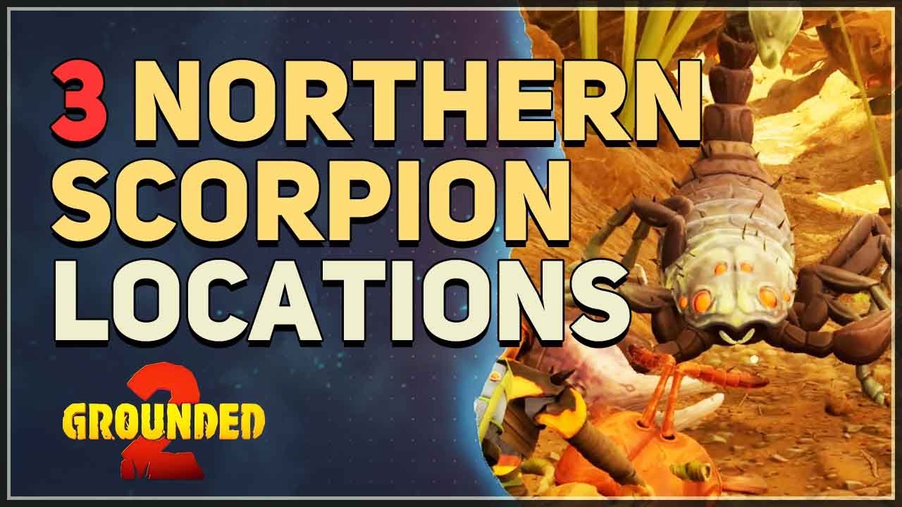 Northern Scorpion Location Grounded 2