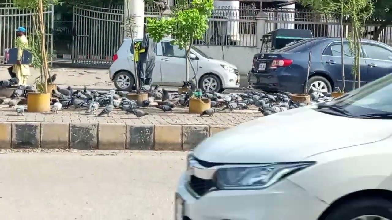 Beautiful place Hyderabad/birds/drive 