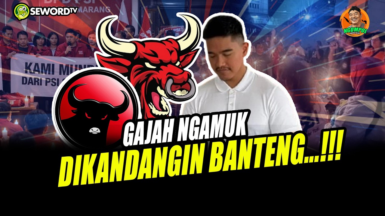 Begawan: KATANYA MAU REBUT KANDANG BANTENG, EH GAJAH RIBUT SENDIRI
