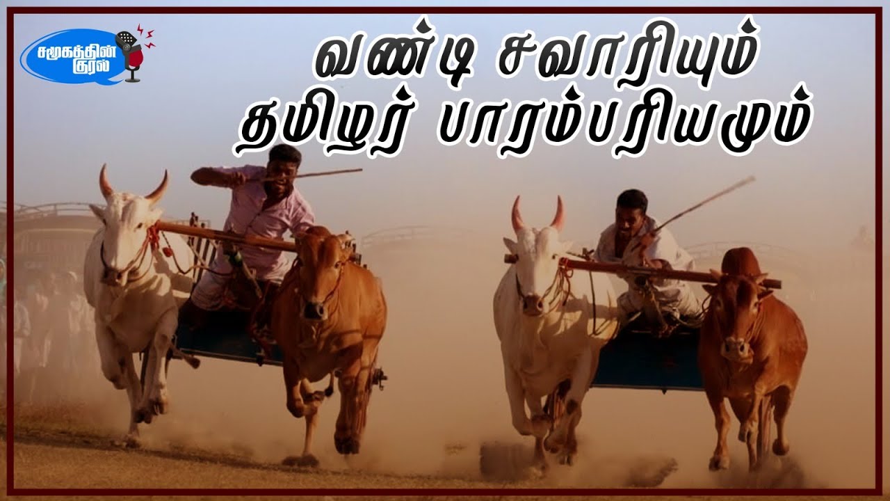 வண்டி சவாரியும் தமிழர் பாரம்பரியமும் | Jaffna | Jaffna Savari