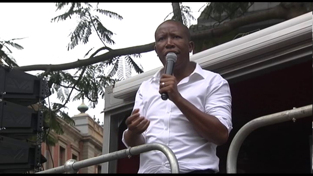 Julius Malema addressed the crowd outside the North Gauteng High Court