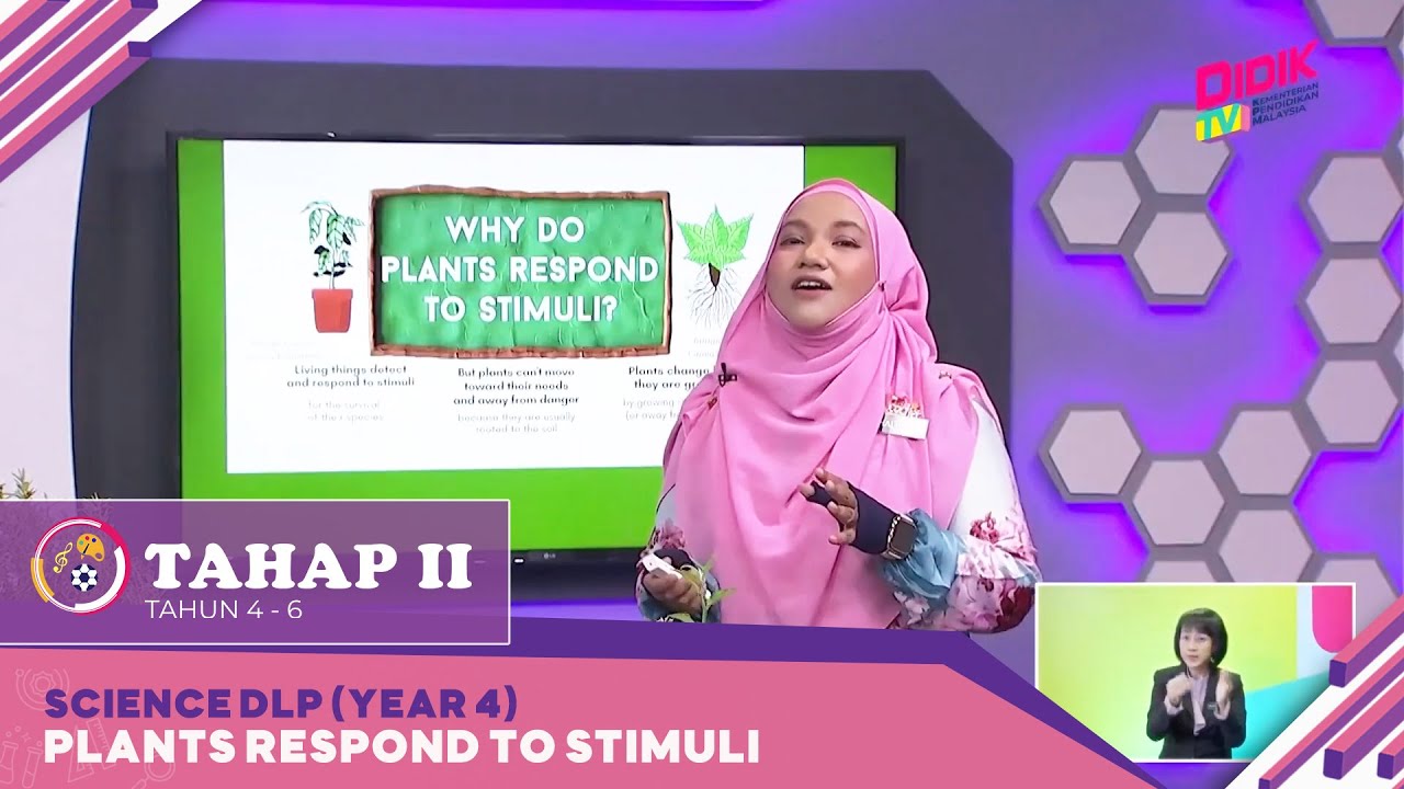 Tahap II (2022) | Science DLP (Year 4): Plants Respond to Stimuli