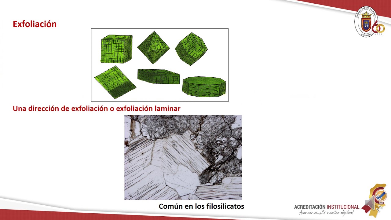 MINERALOGÍA ÓPTICA PRIMER CORTE