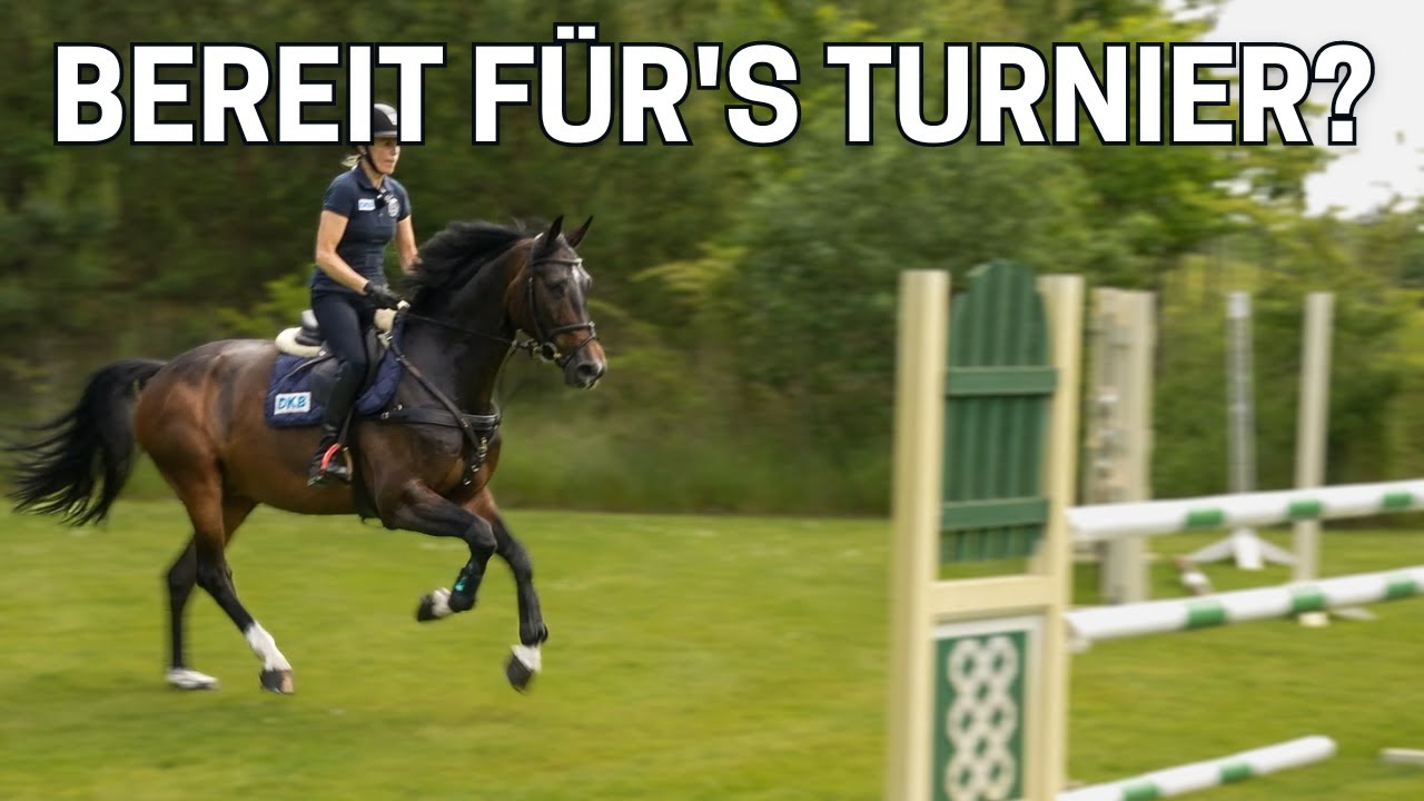 Das erste Turnier🥇 | Jungpferdeausbildung mit Andreas Kreuzer und Holger Wulschner🐎