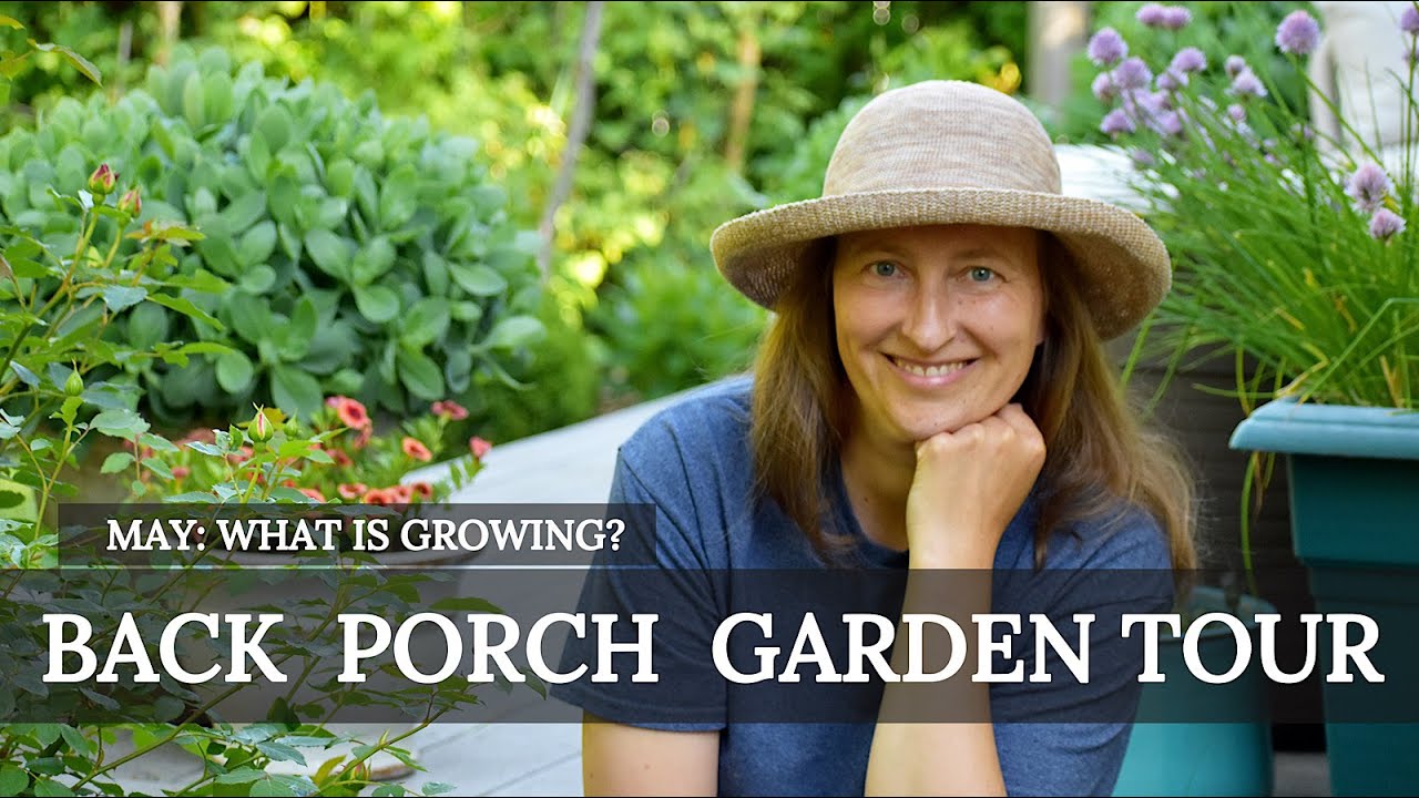 Back Porch Garden Tour. What is growing?