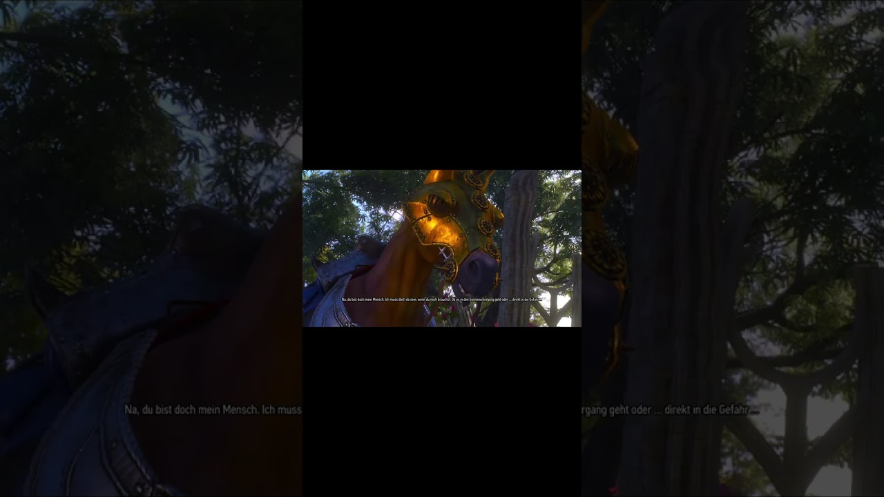 Geralt redet mit Pl&ouml;tze | The Witcher 3