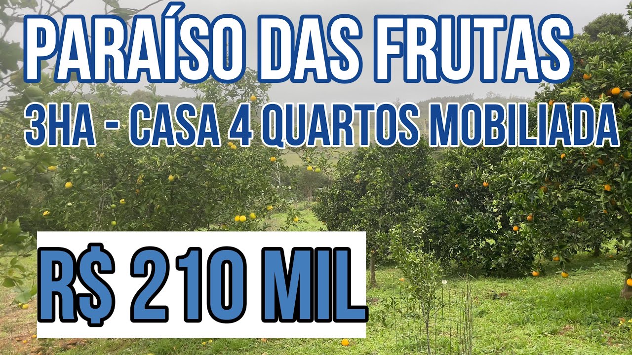 ( VENDIDO )CHÁCARA PARAÍSO DAS FRUTAS 3 HECTARES COM CASA 4 QUARTOS MOBILIADA LINDA VISTA R$ 210 MIL