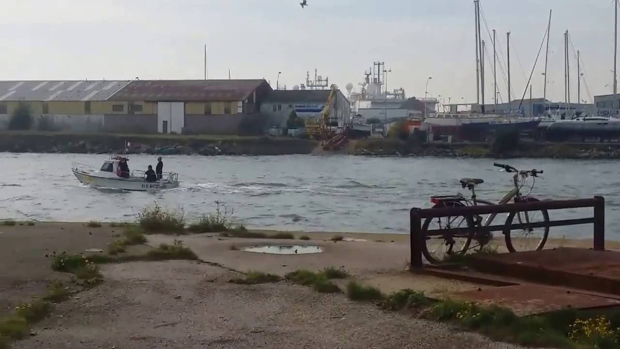 Dunkerque,retour de la pêche sportive des Loups de Mer Dunkerquois.