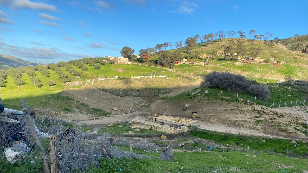 وانااري شنو وقع ومشينا لعين واناري