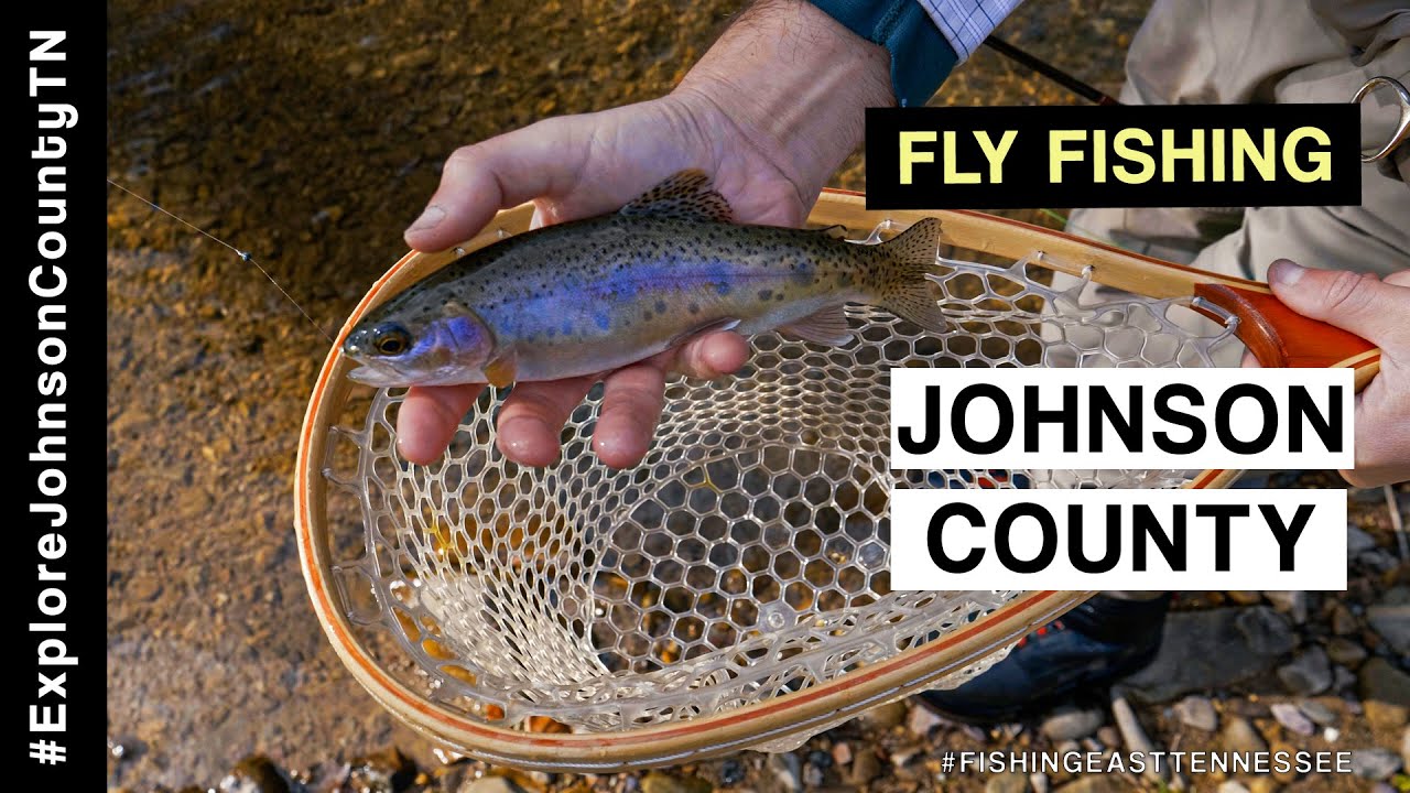Fly Fishing Johnson County, Tennessee