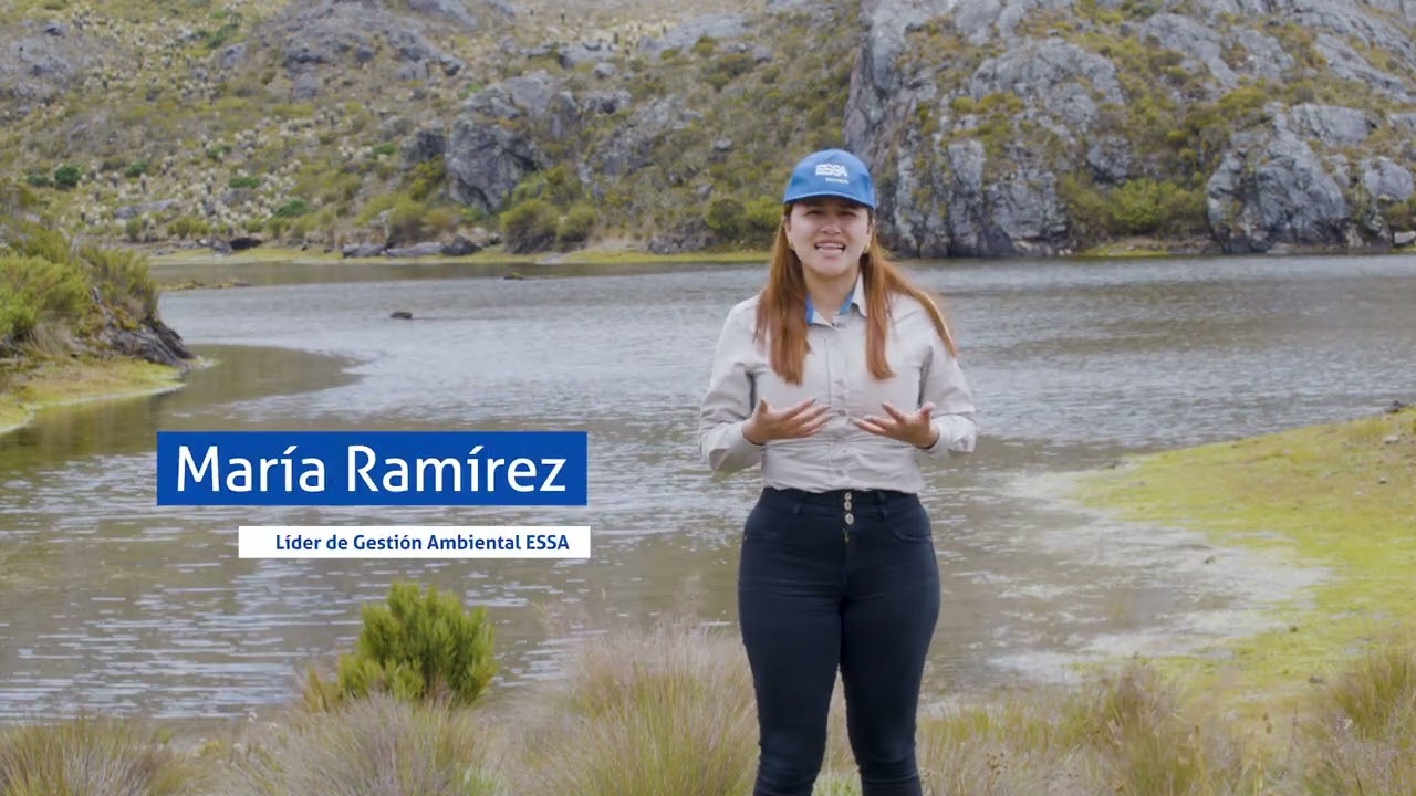⛰️ El páramo: donde nace la energía que nos conecta