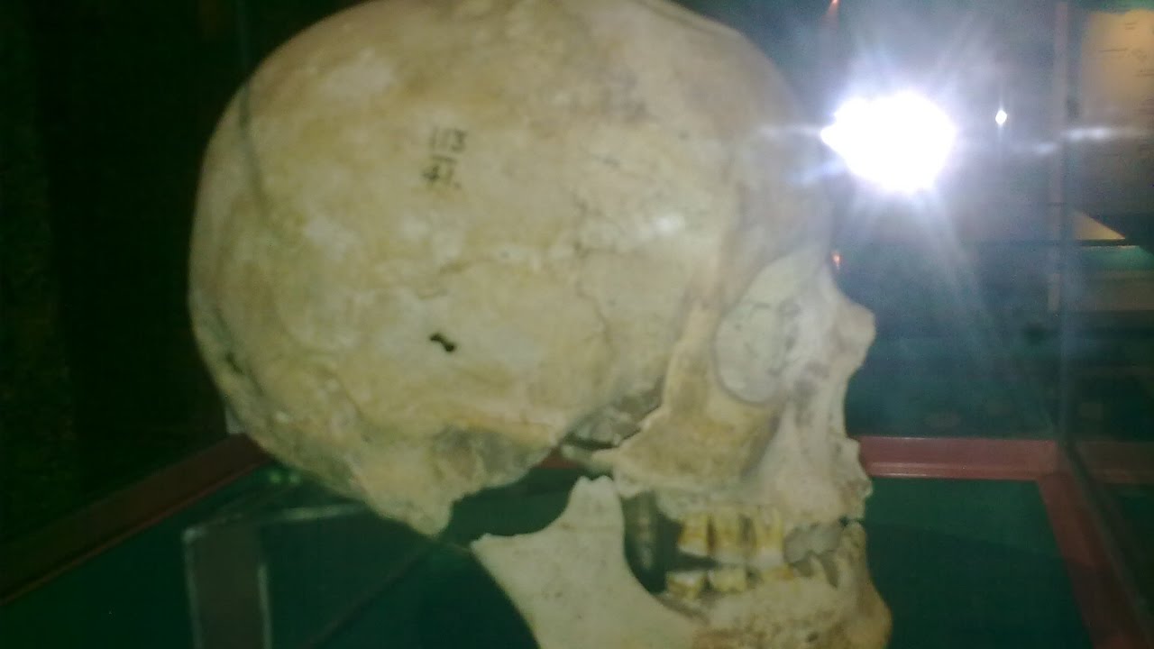 Nubian Museum in Aswan متحف النوبة باسوان