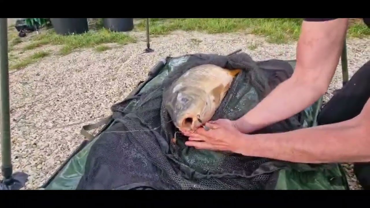 Carpfishing; Etangs des Pres - Grands Pres