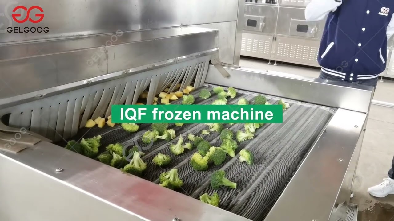 Industrial Broccoli Quick-freezing Machine Plant. Frozen Broccoli Making Machine.