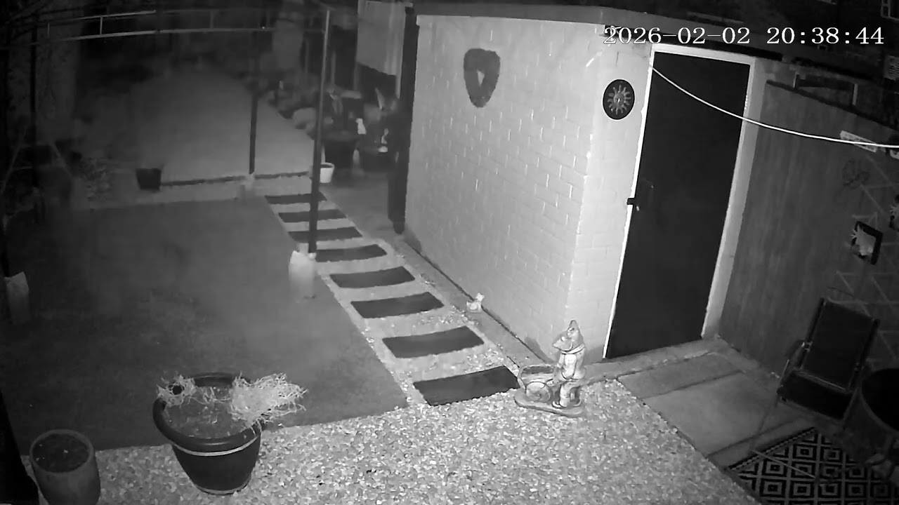 (2/2/2026) 20:37pm HULL (Uk) BYC [0501]
