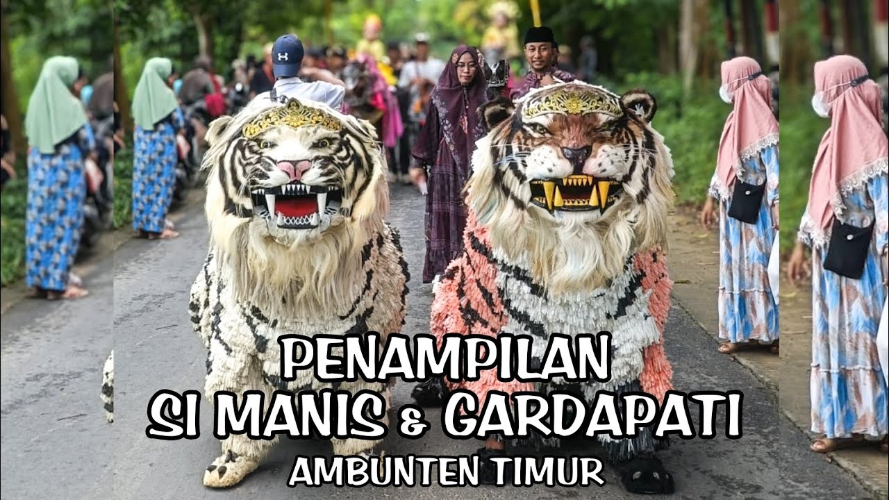 WARGA AMBUNTEN DIHEBOHKAN DENGAN AKSI MEMUKAU DARI MAUNG RONGGENG