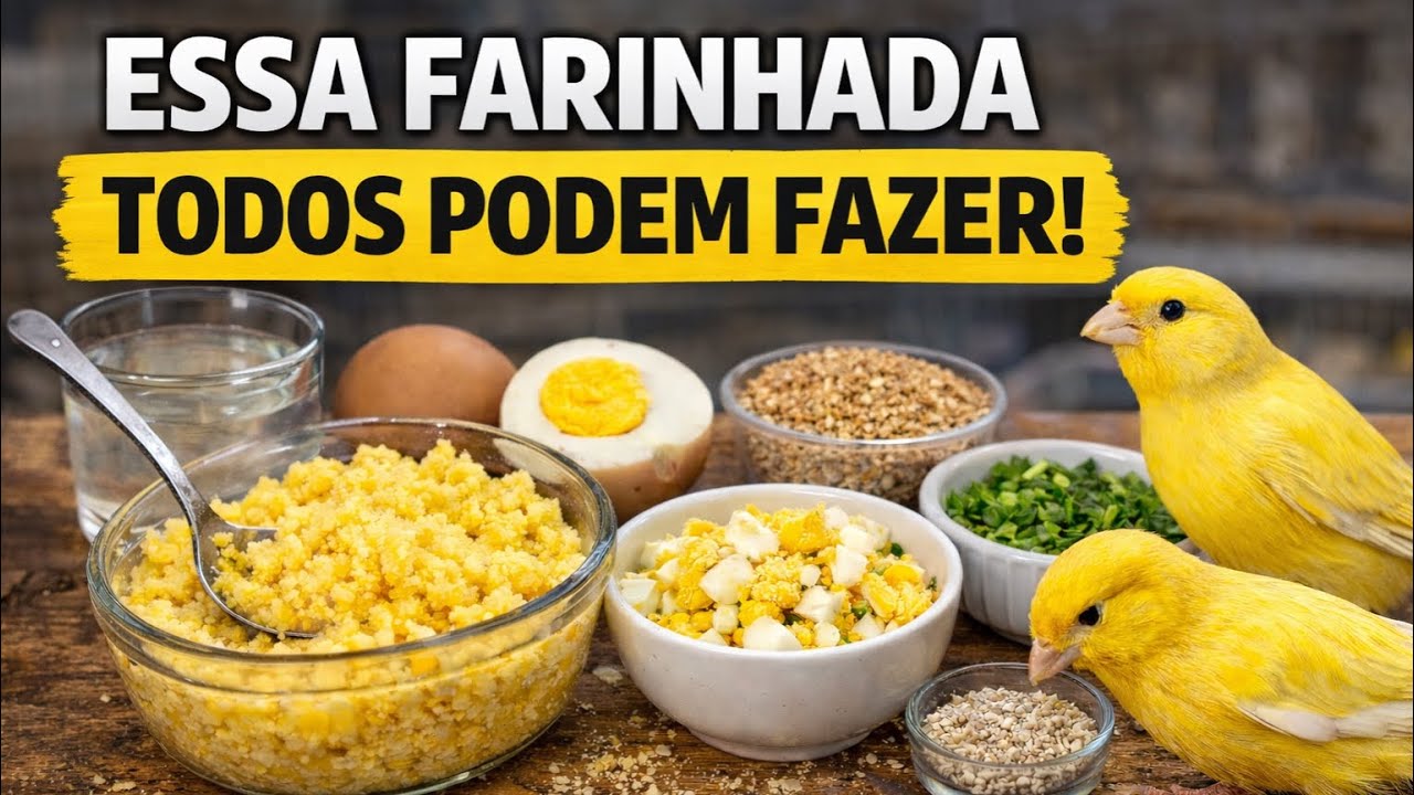 Sem Desculpa: Essa Farinhada Úmida Todo Criador Pode Fazer