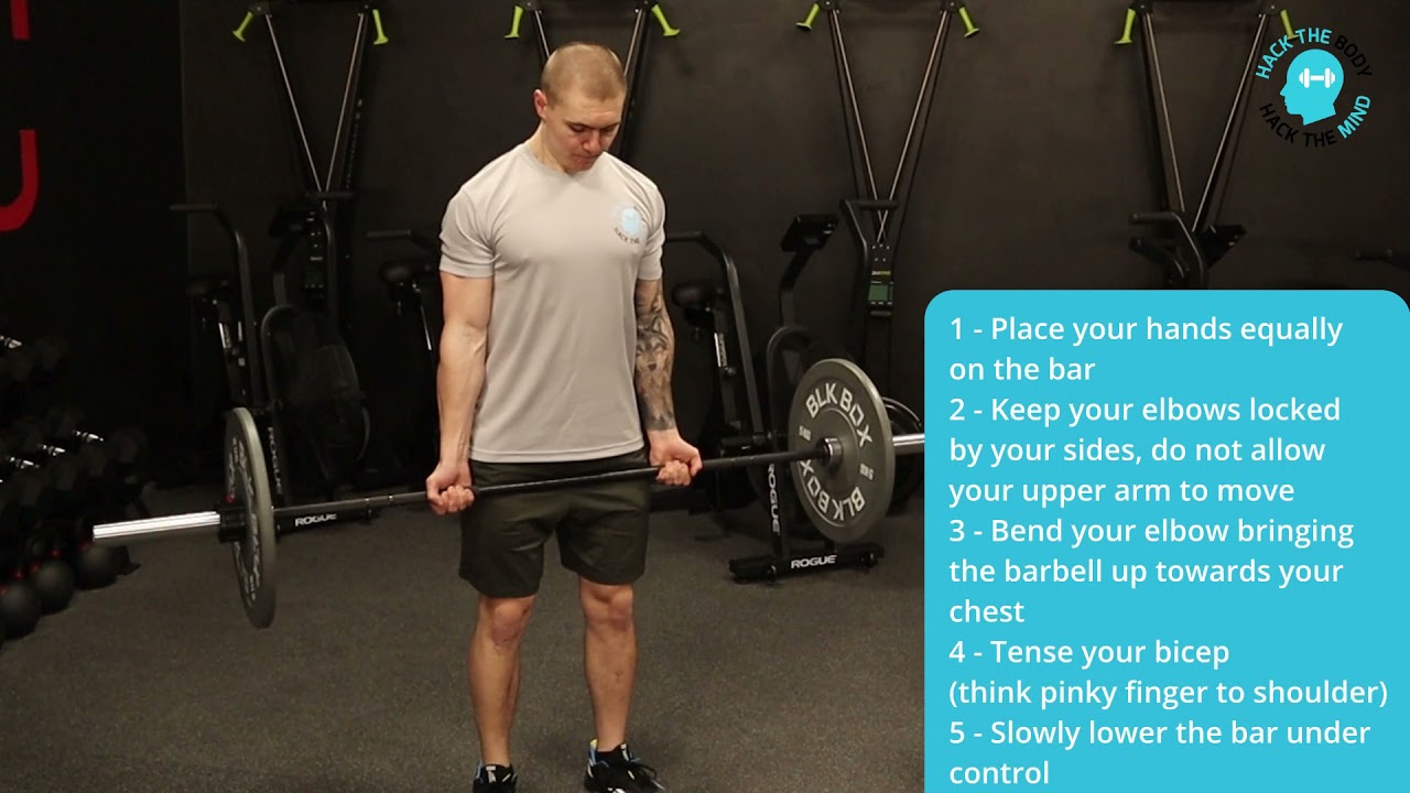 Barbell Bicep Curl - Exercise Tutorial