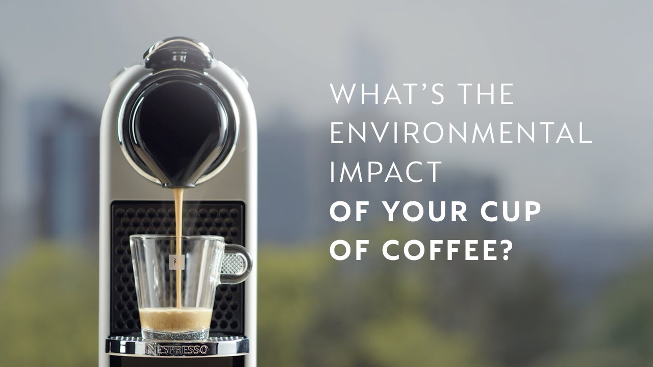 The environmental impact I Life Cycle Assessment I Nespresso Original Lungo