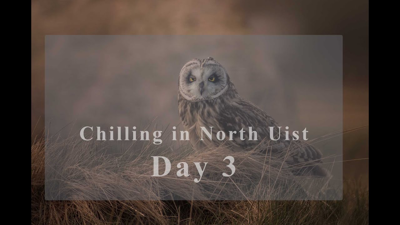 Wildlife Photography | VLOG – Day 3 | North Uist, Outer Hebrides, Scotland, UK