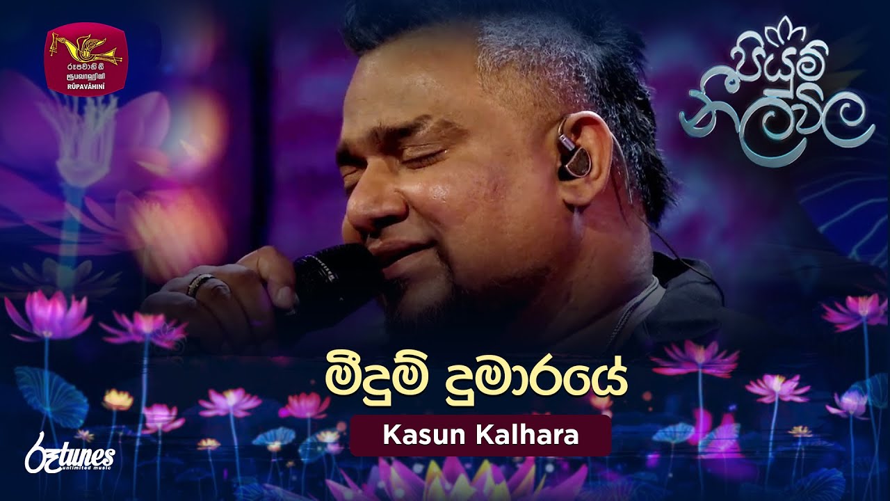 Meedum Dumaraye | මීදුම් දුමාරයේ | Kasun Kalhara | Piyum Neela Vila | Roo Tunes