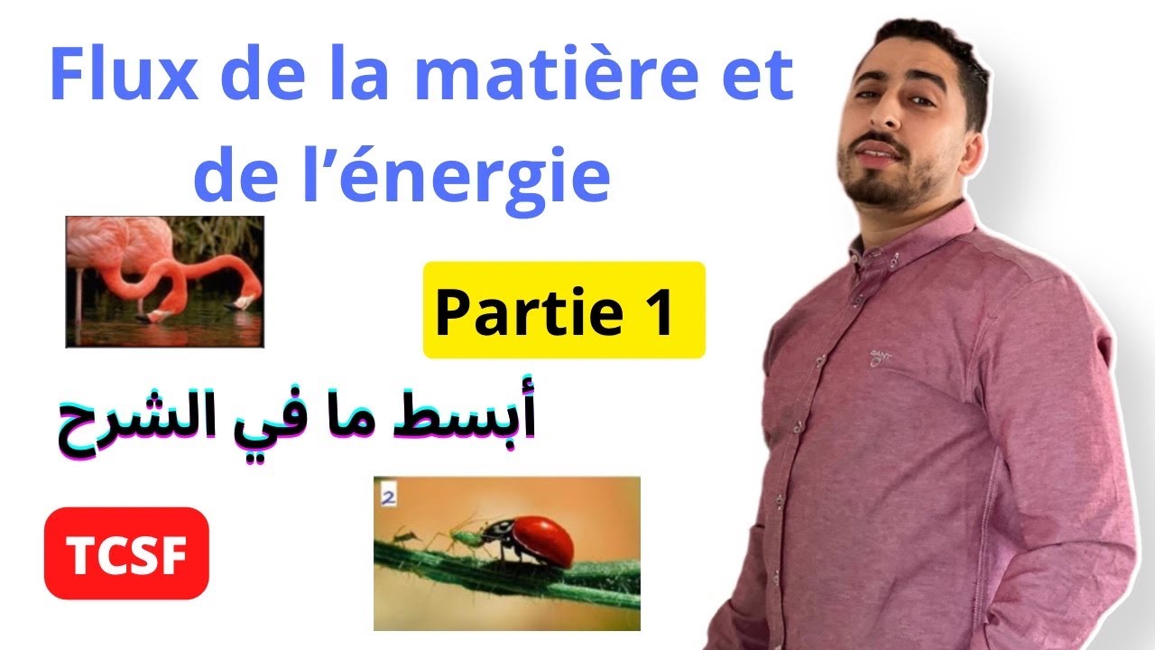 TCSF : Flux de la matière et de l’énergie dans l’écosystème | Partie 1 ✅ أبسط شرح
